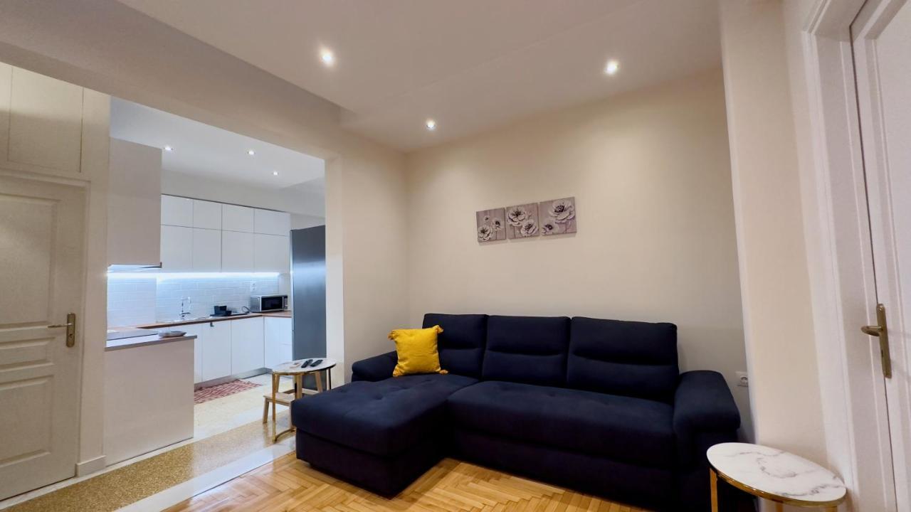 Spacious Luxury Apartment In Athens, Tan Efroniou Eksteriør billede