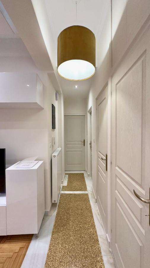 Spacious Luxury Apartment In Athens, Tan Efroniou Eksteriør billede